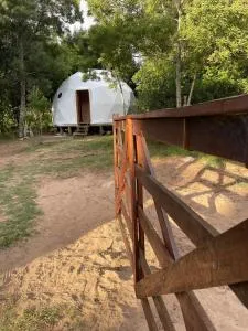 ALF Dome Peacefull between forest and sea - Саусе-де-Портесуело