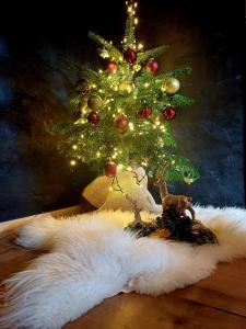 Domki TATRA HOMES z jacuzzi