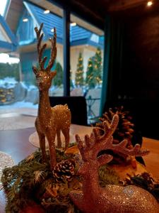 Domki TATRA HOMES z jacuzzi