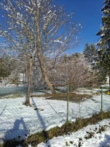 Maisons de vacances Gite Les Temps Calmes : photos des chambres