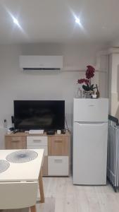 Appartements Studio lumineux avec parking proche Monaco, Nice, plage et gare : photos des chambres