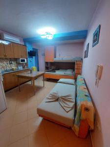 Violas Studio Shengjin