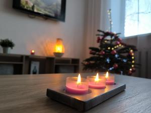 Cosy Bliss Apartment in Riga