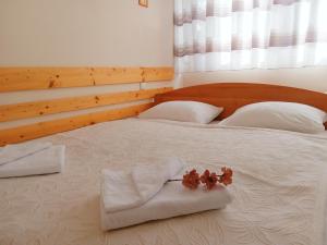 Gyöngy Apartman - 3hvězdičkové hotely ve městě Zalaegerszeg