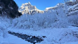 Chalets Chalet a Morillon : photos des chambres