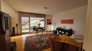 Wohlfühlwohnung Sonnenterrasse E Auto Ladestation - Grenzach-Wyhlen