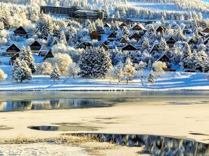 Appartement au pied des pistes avec garage privé - FR-1-814-13