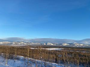 Omas and Opas Northern Lights Viewing Cabin
