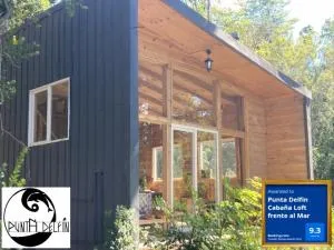 Frente Mar Punta Delfin Cabaña Loft - Llahuepe