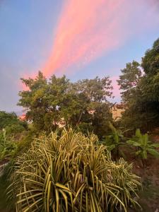 428 Boutique Guesthouse