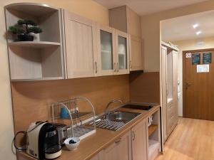 Studio Kris Villa Park