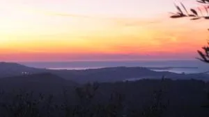 villa des oliviers - Spéracèdes