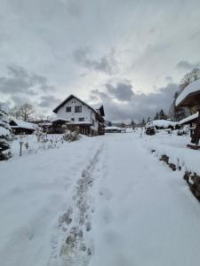 Casa Izvorul Rarăului