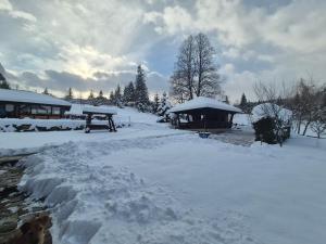 Casa Izvorul Rarăului