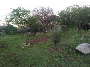 El Campito, casa en altura rodeada de naturaleza