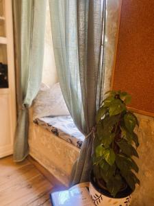 Cosy traditional Maltese home