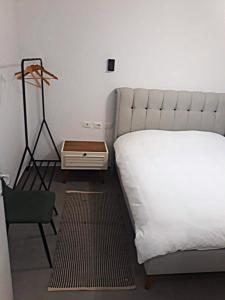 Luxury Apartment in Central Tirana