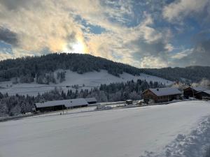 Ferienwohnung Schönenbühl