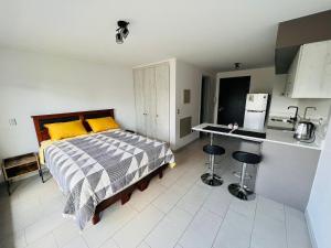 Departamento amoblado de 1 ambiente más 1 sofa cama