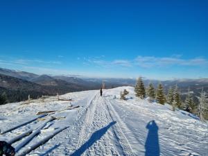 Садиба Кичера