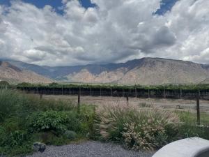 Suit Chalet Cafayate Salta