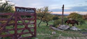 Pedrolandia