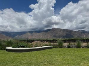 Suit Chalet Cafayate Salta