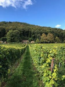 Ferienhaus Lindenallee 20