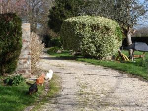 Sejours a la campagne Farmhouse in an amazing private park : photos des chambres