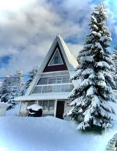 FREEMAN Bukovel - увесь будинок - 帕利亚尼西亚