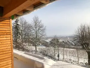 Ferienhaus Lindenallee 20 - 布尔韦勒