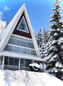 Двоповерхові апартаменти у котеджі FREEMAN-3b з лижною кімнатою, альтанкою та грилем - 帕利亚尼西亚