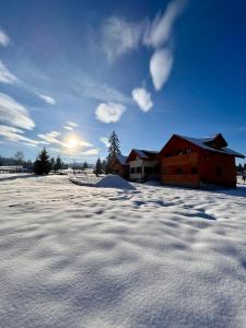 Casutele dintre brazi