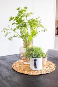 Chill in Style 4 persoons