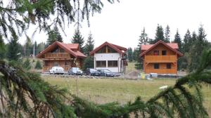 Casutele dintre brazi