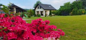 Nowy Domek Pod Kogutkiem