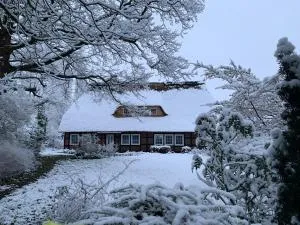 Fewo -Hiddingen - Bothel