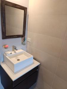 Tigre 3 ambientes -Estacion fluvial