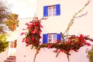 Aggelos Studios Naxos Greece