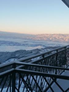 Presidentkop A208 Welnes &SPA