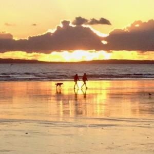 NEW Cosy Gem, Near Beach, Log-Burner, Dog Friendly