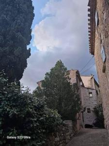 Maisons de vacances Le Chateau de Soleil : photos des chambres