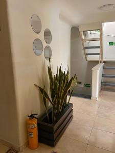 Hotel Yellow Maraya, Pereira