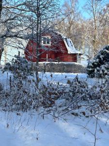 Lake cottage with private pier