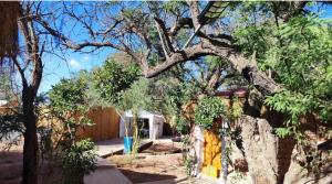 Lasana Habitaciones