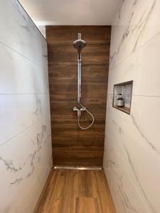 Biobergbauernhof Bergzeit Apartment in Goldegg