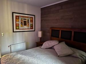 Pucon condominio Alicura