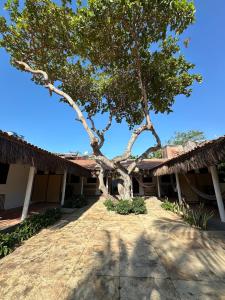 Vila Lua Aparts - Apartamento 1