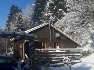 Chalet cosy proche de Gérardmer et Colmar - Nature, WIFI, 2 chambres, terrasse, garage - FR-1-589-306 - 普兰凡