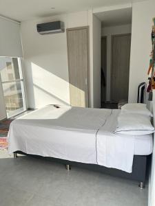 Apto santa marta playa salguero